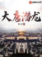 万古第一婿实力划分