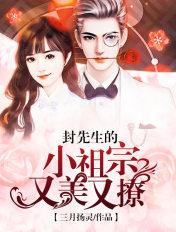 叶医生电视剧大全