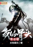 这个杀手是赘婿全集