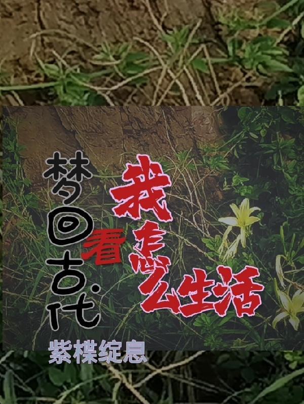 刺客复仇在线播放完整版