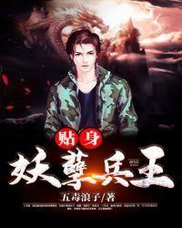 从入赘开始逆袭免费