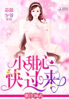 帝皇铠甲皮套多少钱