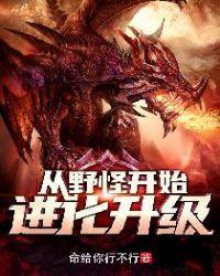 易次元仙途风华录