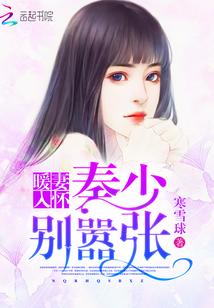 天价娇妻慕总的私有宝贝