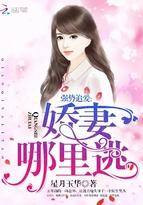 精灵宝可梦开局无敌的