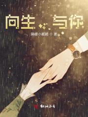 这个修仙过于日常晋江