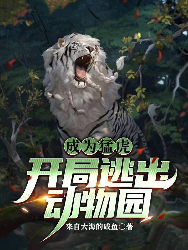 林澈全文免费阅读