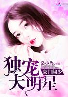 武僧一龙挑战拳王